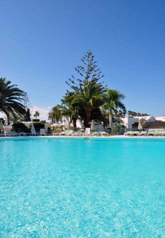 a large swimming pool with blue water and palm trees at Yumbo Rainbow Homes C in Maspalomas