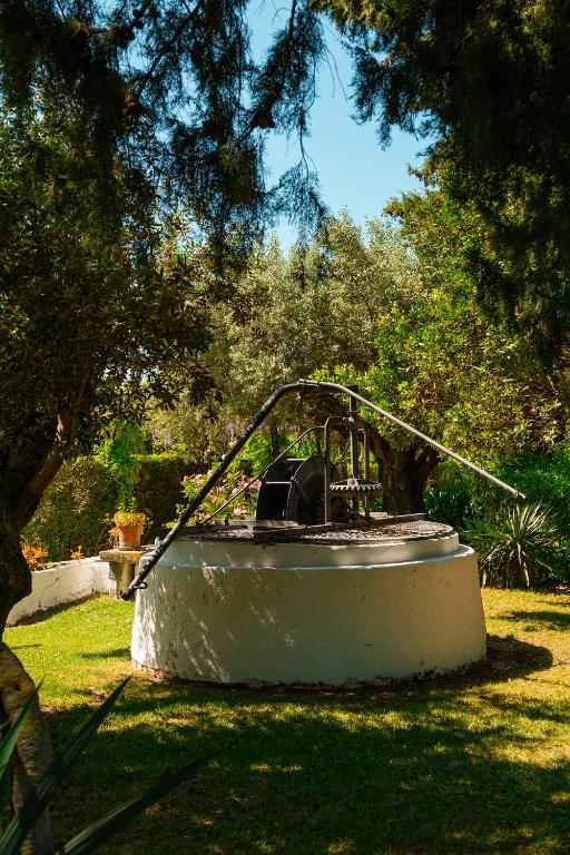 Casa Da Avo Genoveva - 8