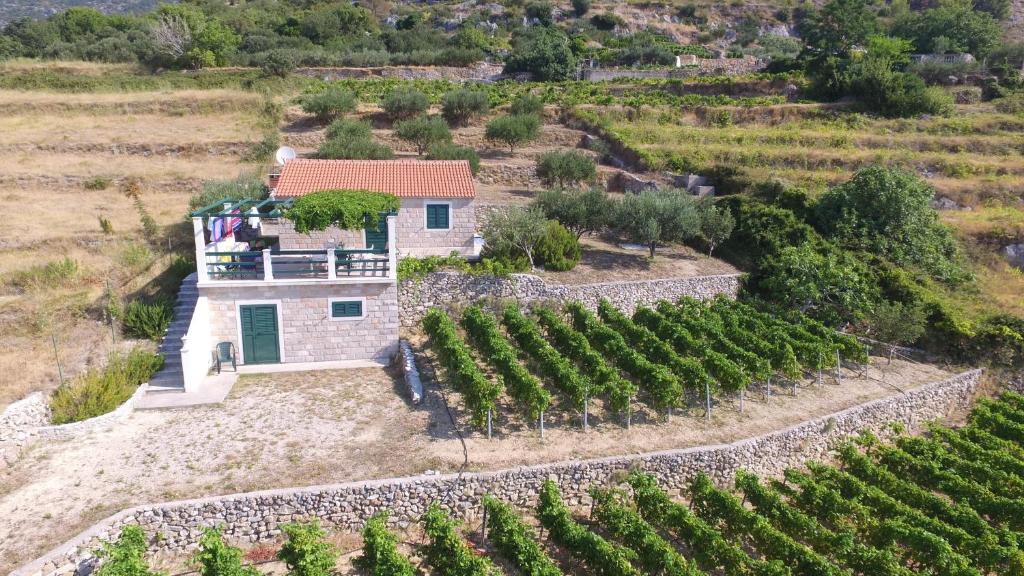 an aerial view of a house in a vineyard at Holiday Home Vineyard house in Bol