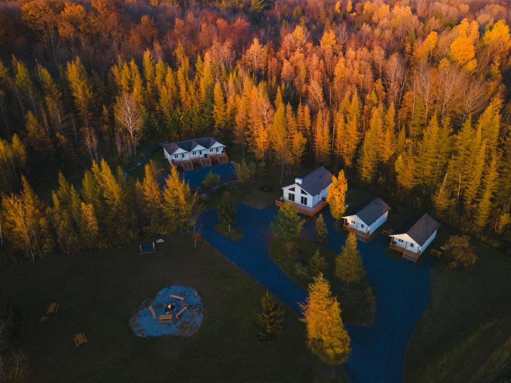 an aerial view of a house in a forest at Chalet 3 OST Shefford in Shefford