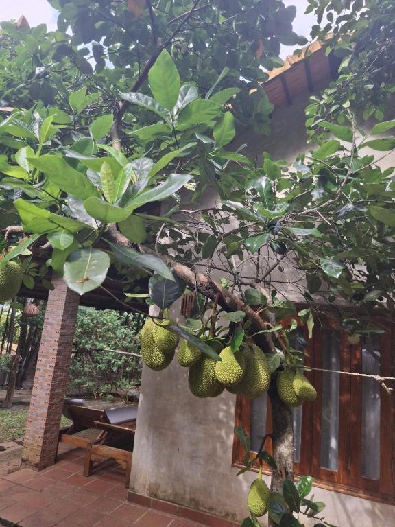 Valley Village Resort Phu Quoc - 10