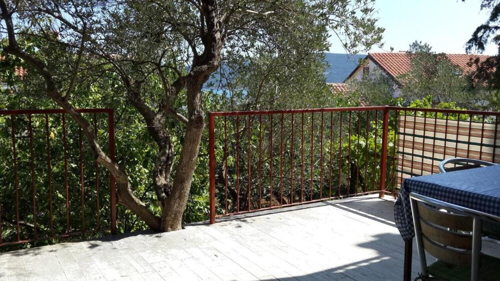 Příroda nedaleko apartmánu