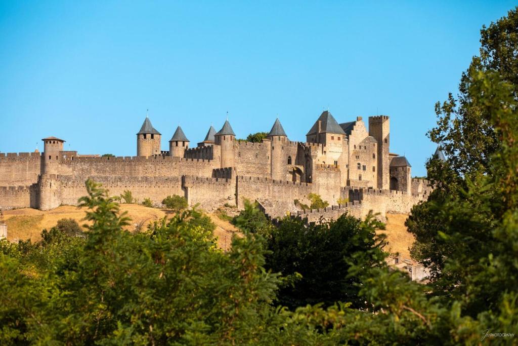 un grand château au sommet d'une colline dans l'établissement Séjour Cité, à Carcassonne