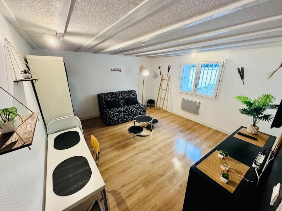 un salon avec un canapé et une table dans l'établissement Appartement cosy Toulouse, à Toulouse