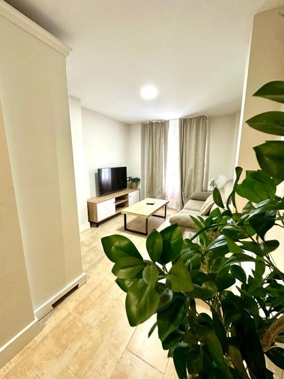 Apartamentos Puente Romano Suites Parking Gratis - 12