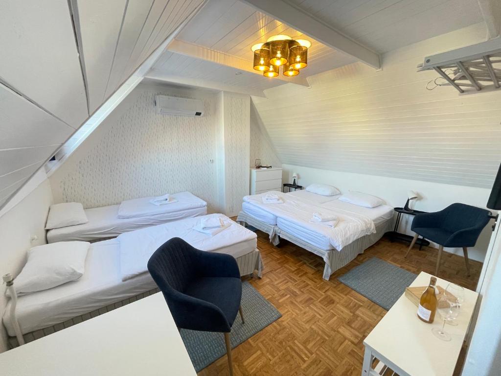 Naturální vinařství DVOREK - Penzion, Bistro & Wellness - 19