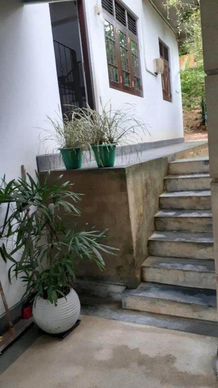 Fotografie z fotogalerie ubytování Jithu homestay Mirissa v Mirisse (jih)