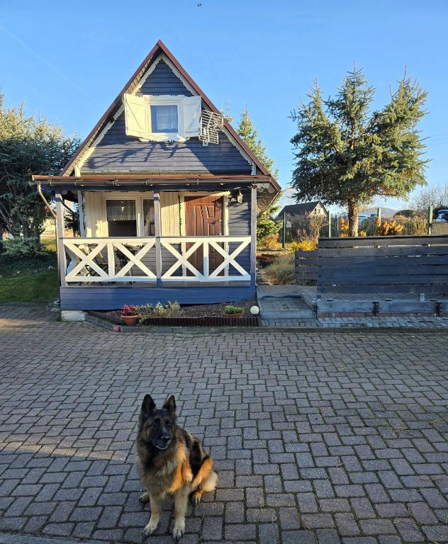 Domácí mazlíčci ubytovaní s hosty v ubytování Słoneczna Idylla - Nad Zalewem k Karpacza SAUNA JACUZZI