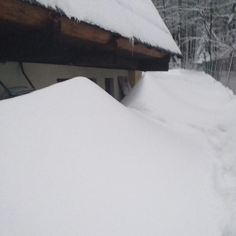 Kosarzówka v zimě