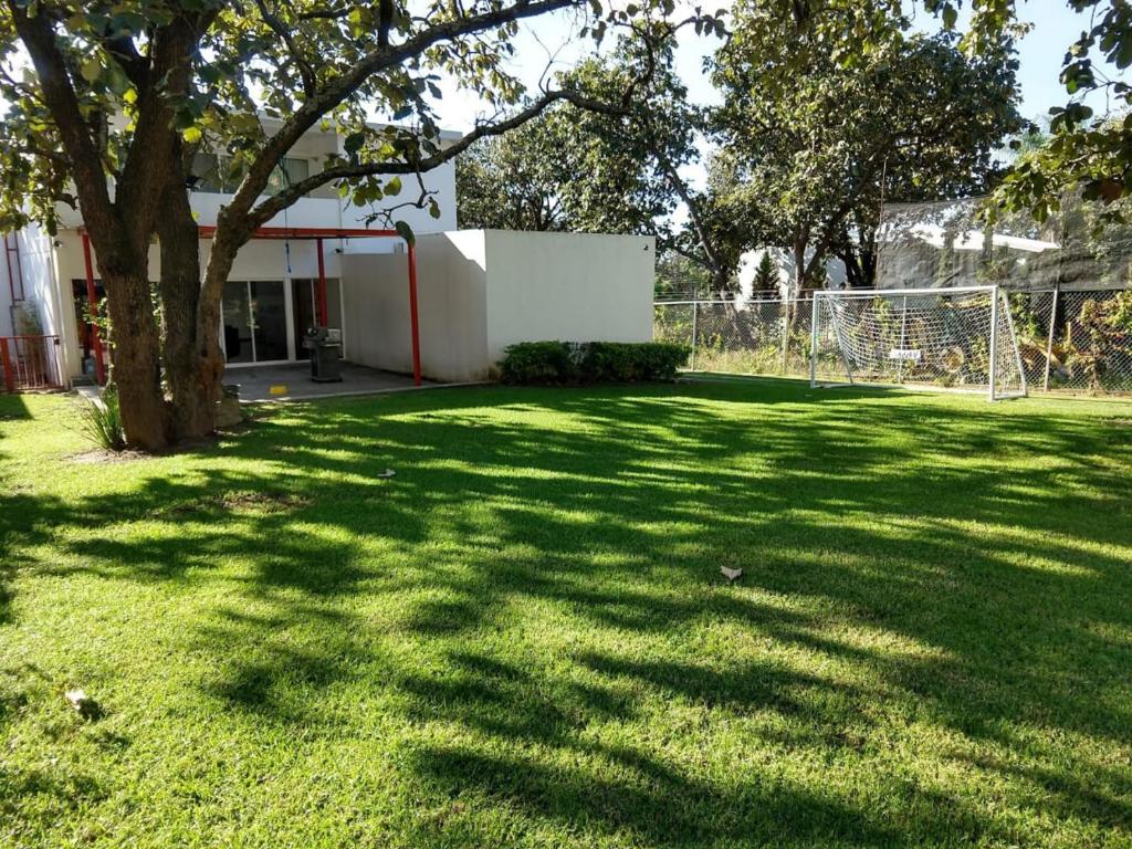 a green yard with a tree and a fence at Cuartos en el Fracccionamiento el Roble frente al balneario las Tortugas in El Arenal