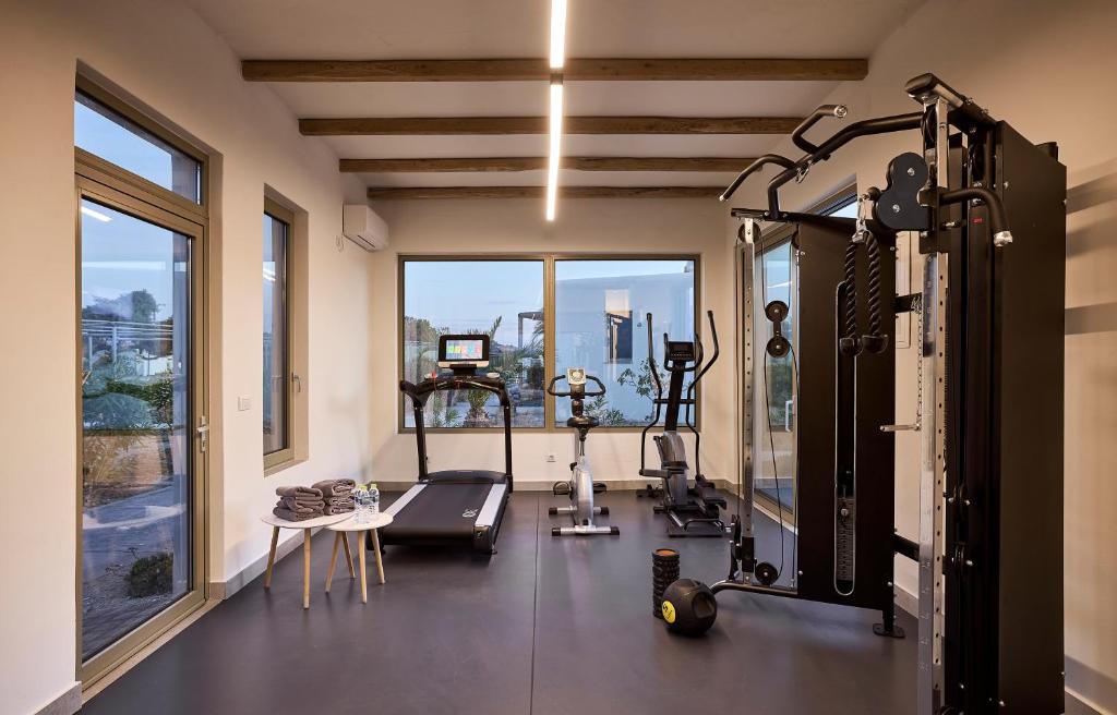 Fitness centrum a/nebo fitness zařízení v ubytování Hotel Milos Sea Resort