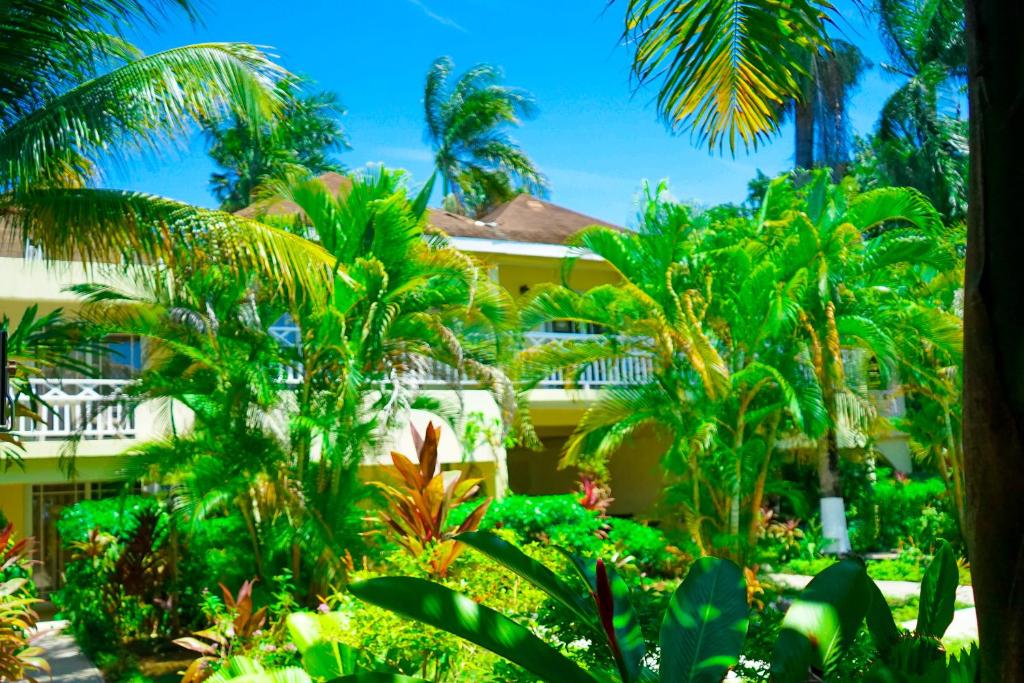 Zahrada ubytování AYURVEDA RESORT