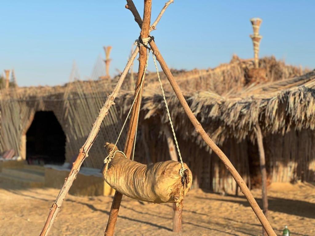 Fotografie z fotogalerie ubytování Sun & Fun Camp Fayoum v destinaci Fajjúm