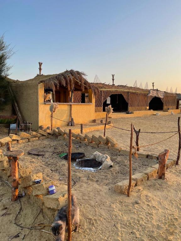 Fotografie z fotogalerie ubytování Sun & Fun Camp Fayoum v destinaci Fajjúm