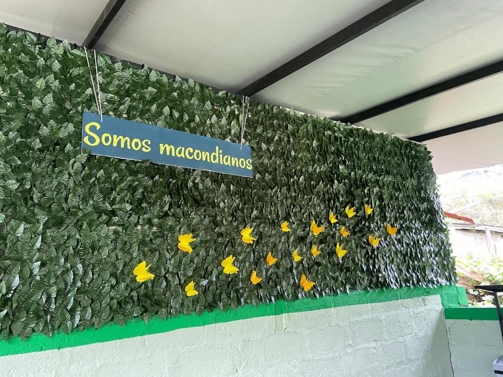 Camping tipo eco-confort Refugio Lancaster