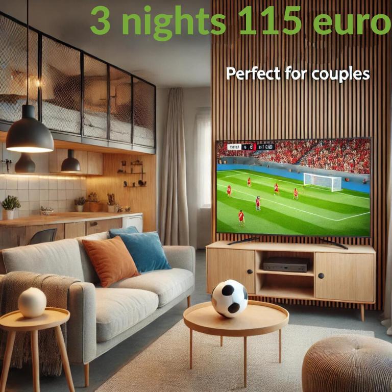 TV a/nebo společenská místnost v ubytování Stockerau Comfort Studio 1 BR for 2