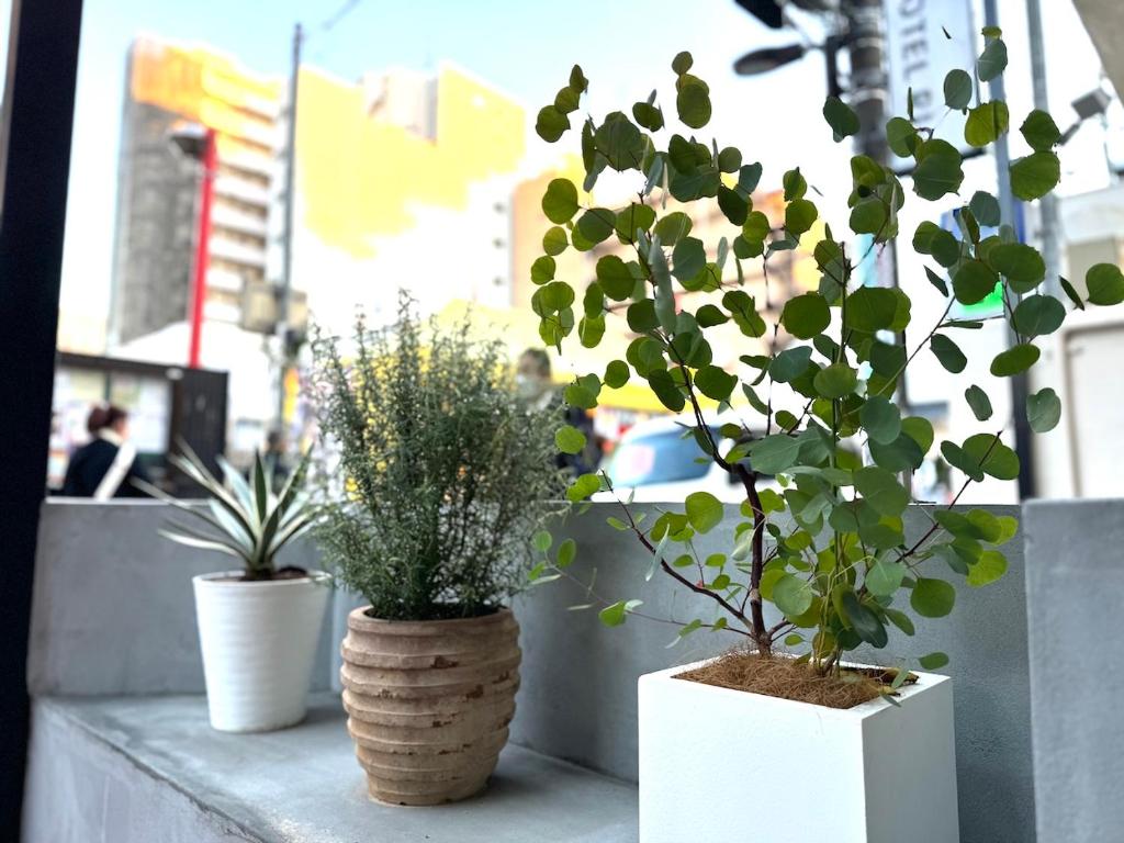 Fotografie z fotogalerie ubytování Hotel RIO新宿 v Tokiu