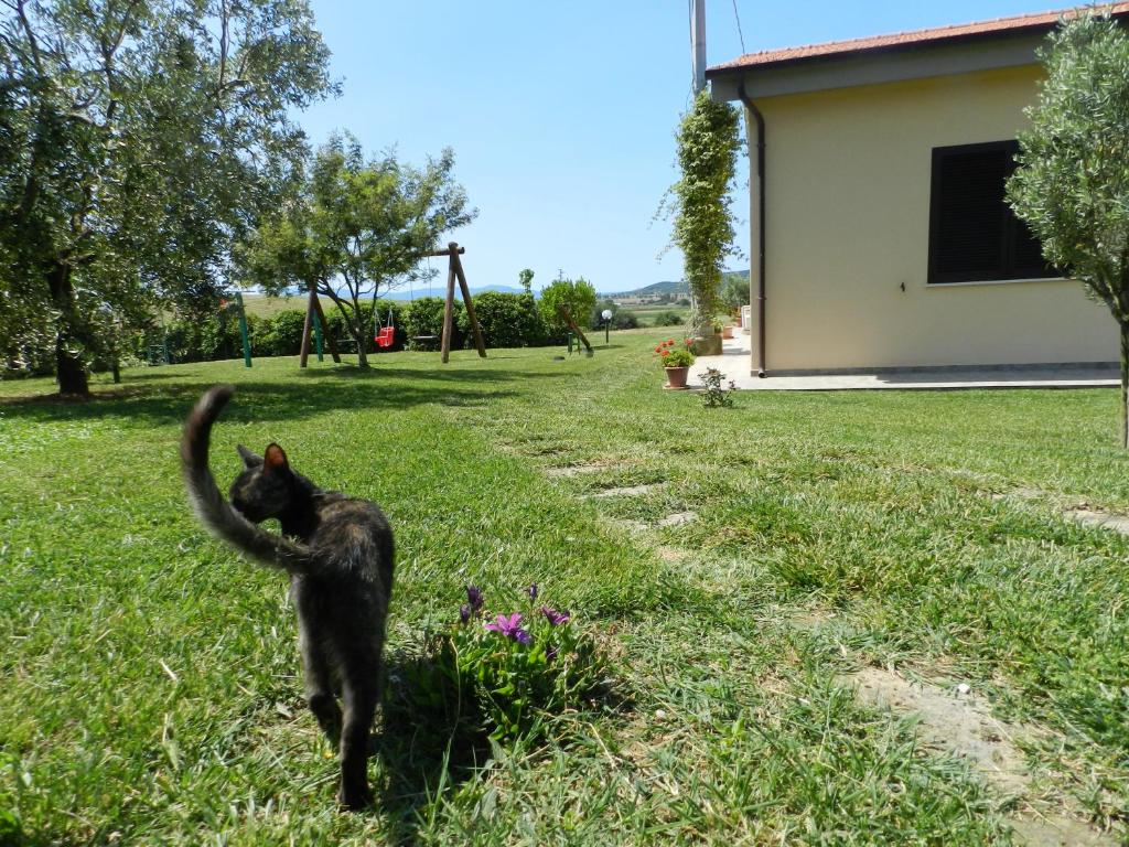 Domácí mazlíčci ubytovaní s hosty v ubytování Agriturismo Severini