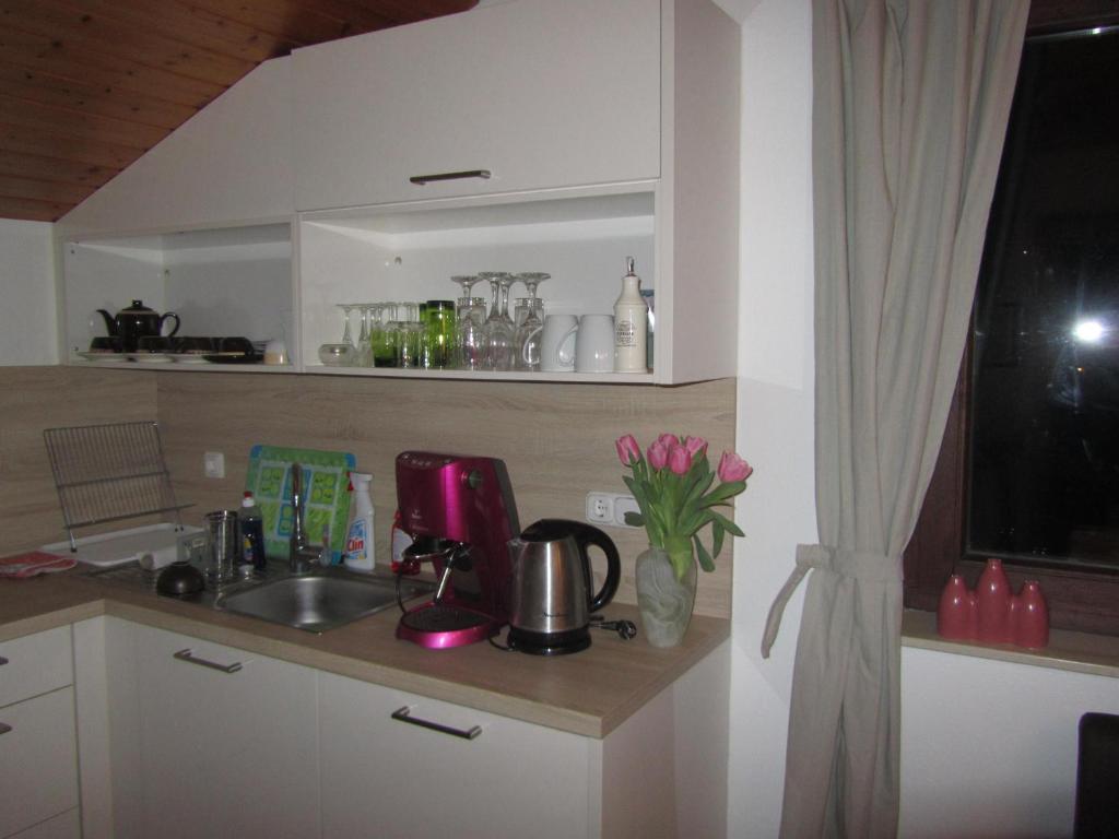 Kuchyň nebo kuchyňský kout v ubytování Apartment Hufnagl