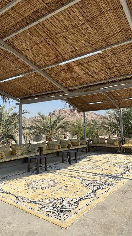 Foto Ras al Khaimahis asuva majutusasutuse Alreef farm galeriist