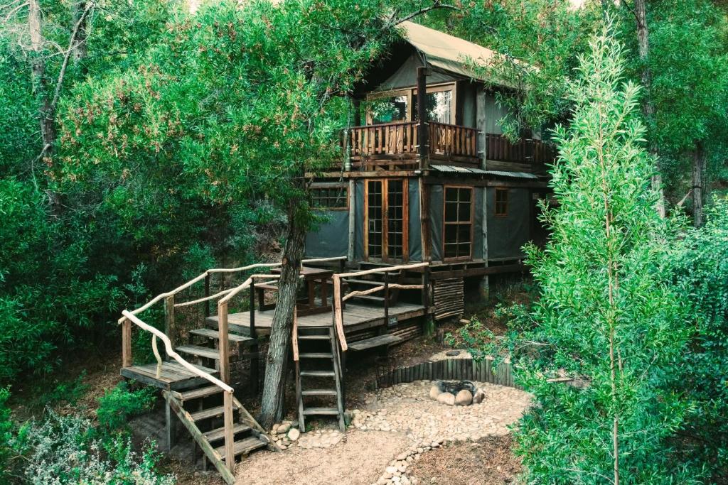 Zahrada ubytování Fernhill Tented Treehouses