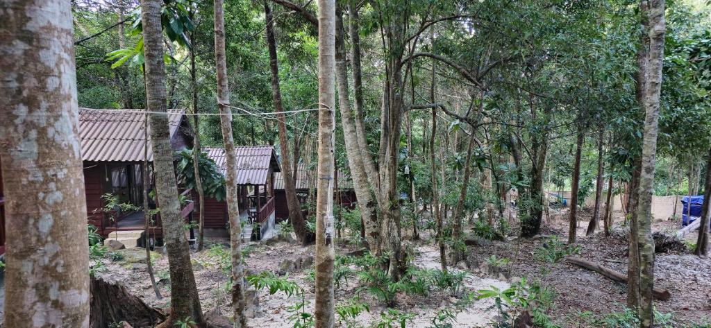 Fotografie z fotogalerie ubytování Sambath Sakseth Bungalow v destinaci Koh Rong Island