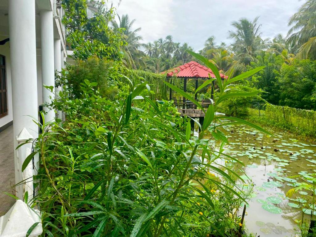 Zahrada ubytování Haritha Resort Yala