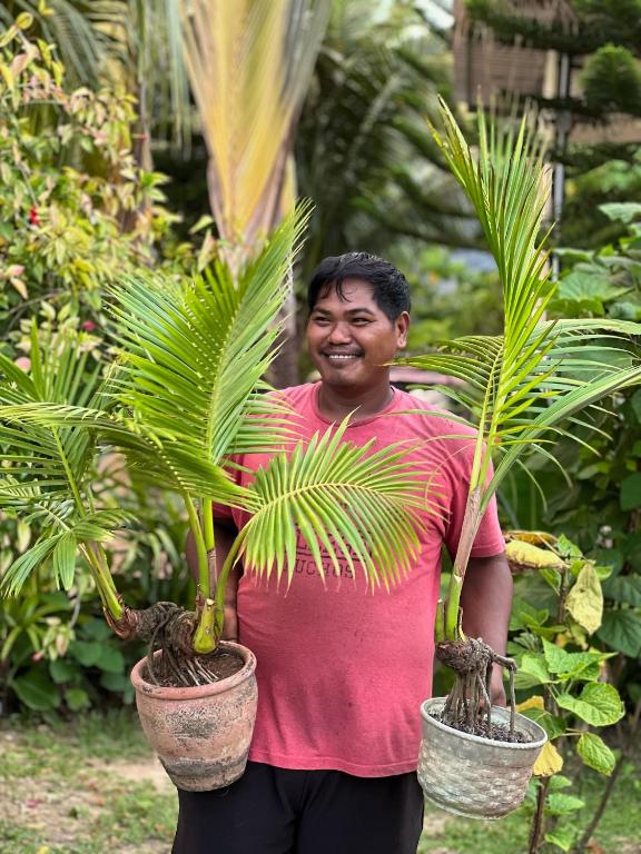 The Canopy Krabi - Resim 12
