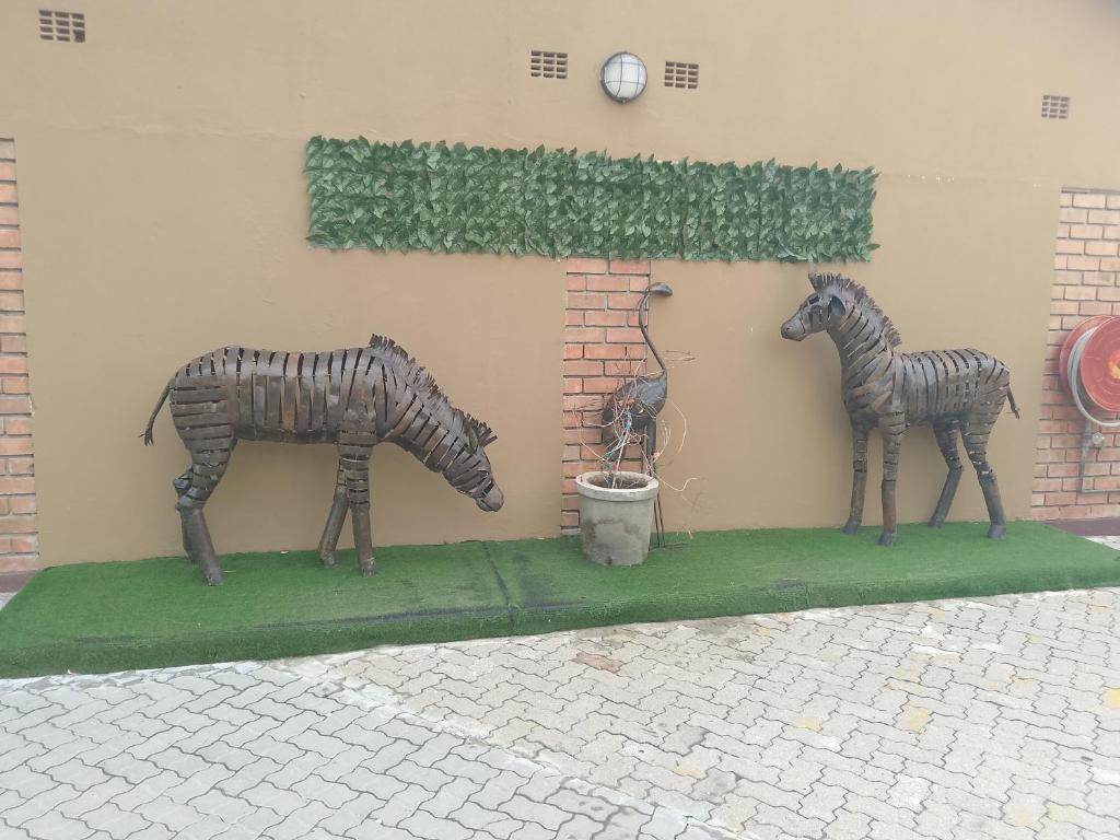 Zvířata v hotelu nebo okolí