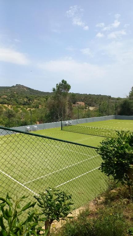 Tenis a/nebo squash v ubytování Son Vent nebo okolí