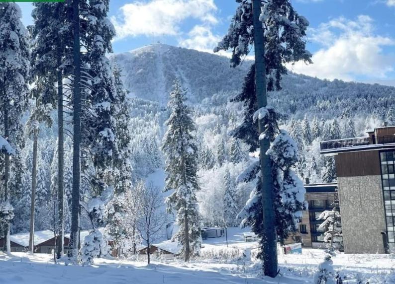 Το Eco Village Apartments 3 with terrace τον χειμώνα