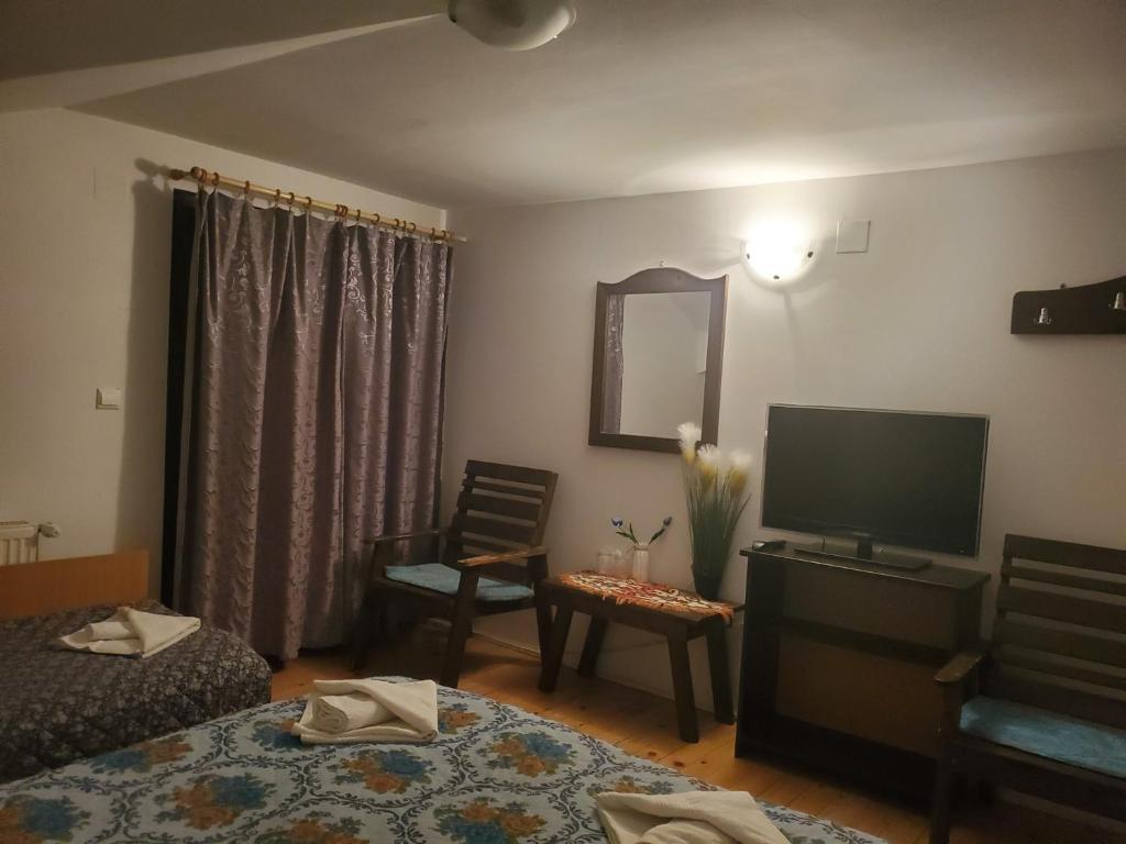 Pensiunea Carma - Standard Double Room