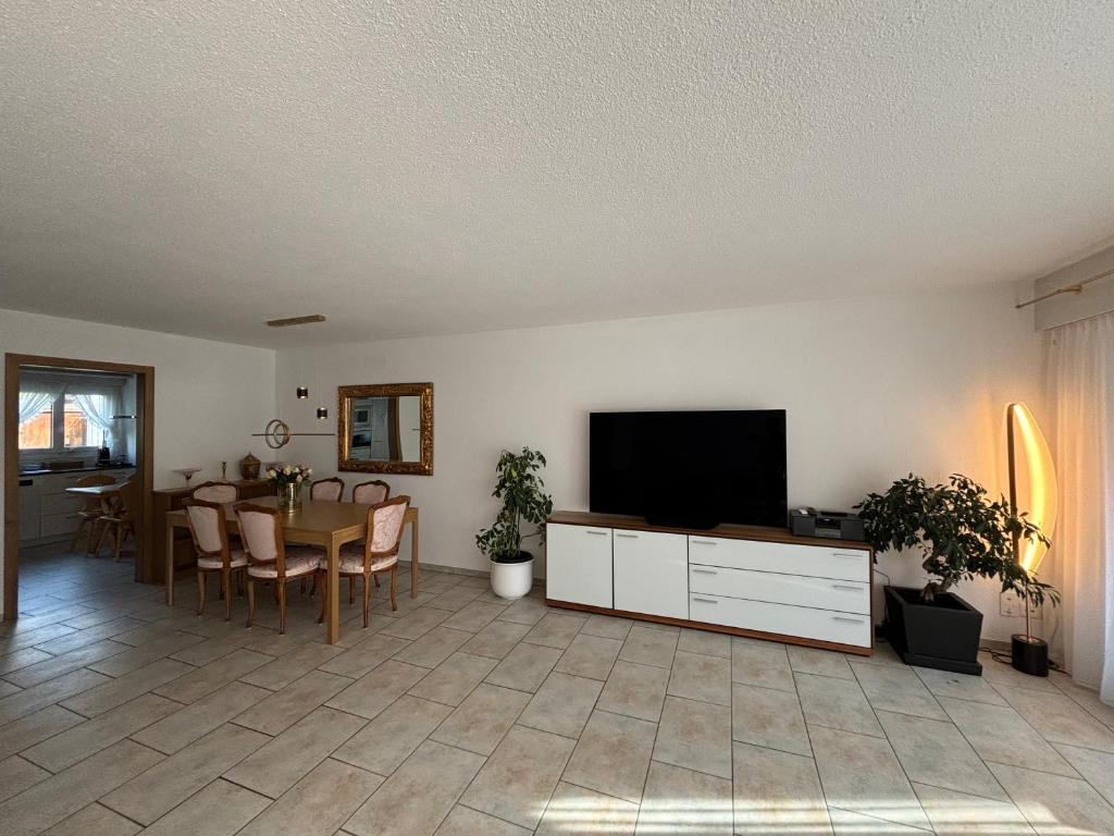 TV a/nebo společenská místnost v ubytování Garden Park Apartment