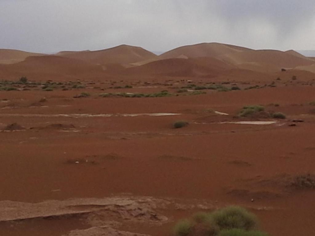 Φωτογραφία από το άλμπουμ του Nejma luxury camp erg chegaga σε El Gouera