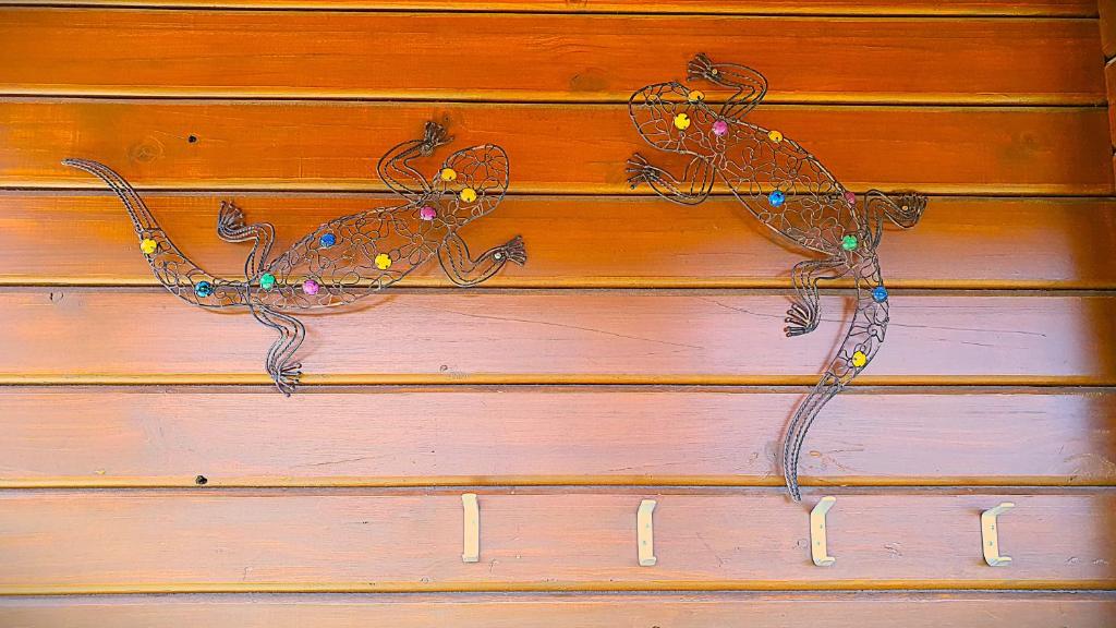 Hanmer's Coziest - Resim 17