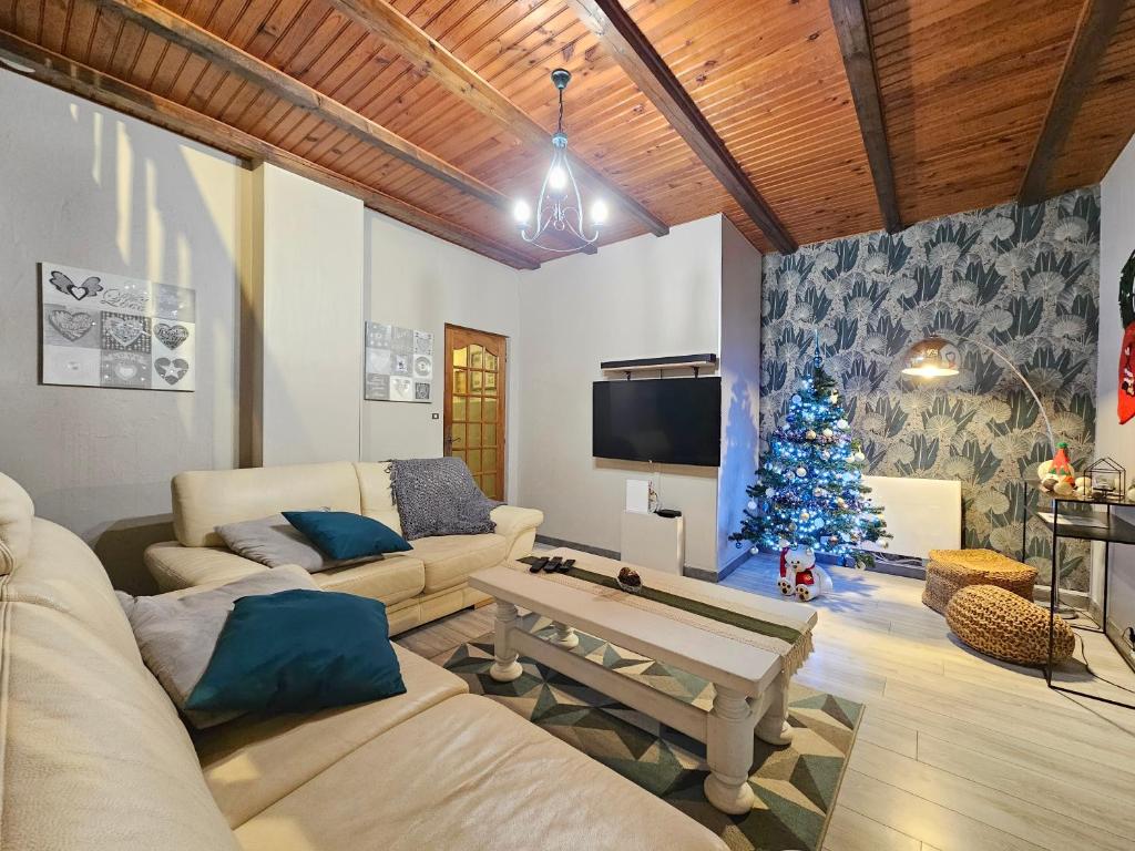 TV a/nebo společenská místnost v ubytování Le Cocon de La Houssière