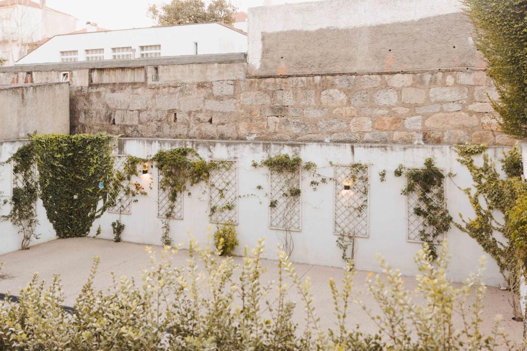 Timbre Boavista - Resim 14