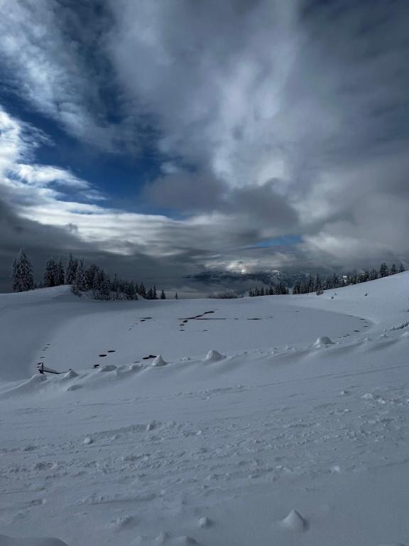 Alpine Escape Golte Apartment talvel
