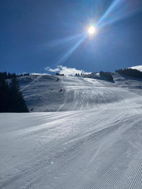 Alpine Escape Golte Apartment talvel
