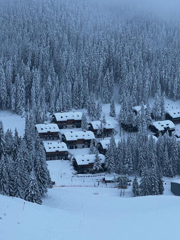 Alpine Escape Golte Apartment talvel