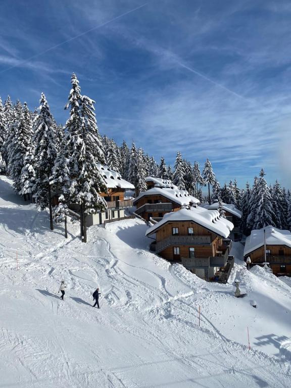 Alpine Escape Golte Apartment talvel