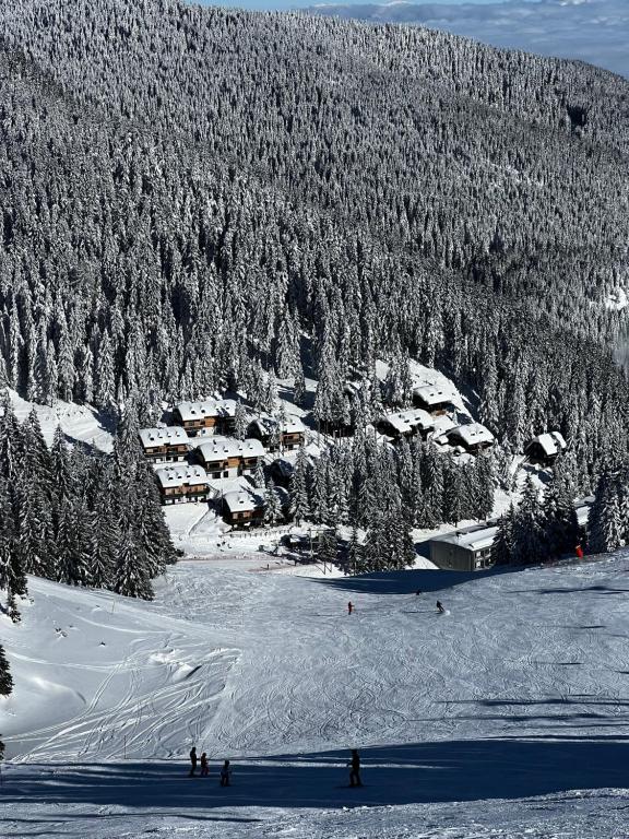 Alpine Escape Golte Apartment talvel