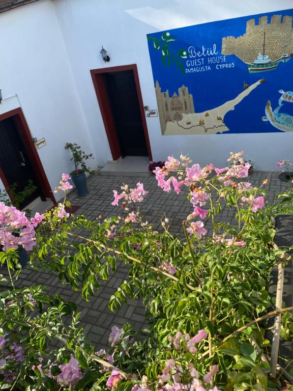Zahrada ubytování Betul Guest House