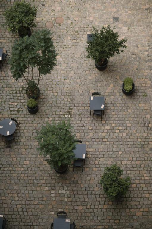 Wilmina Hotel - Resim 22