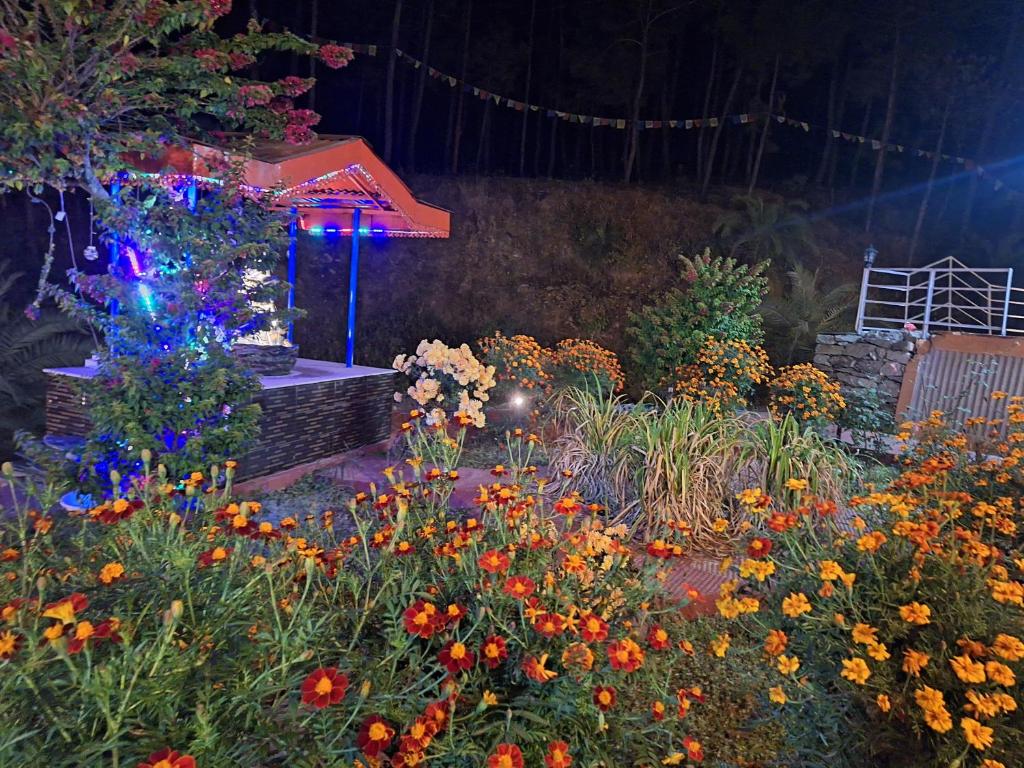 Zahrada ubytování TATHASTU Bir -Homestay ,DORM,HOSTEL