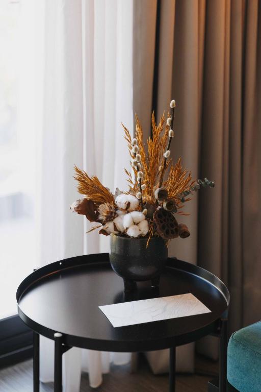 Timbre Boavista - Resim 20