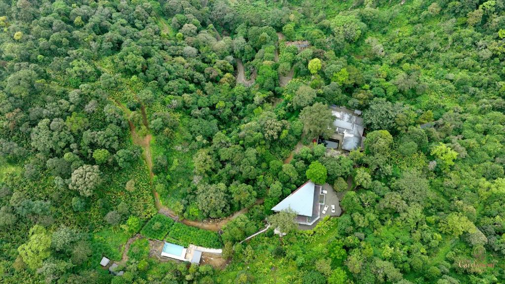 an aerial view of a house in the middle of a forest at Ela Luxury Stay in Vagamon