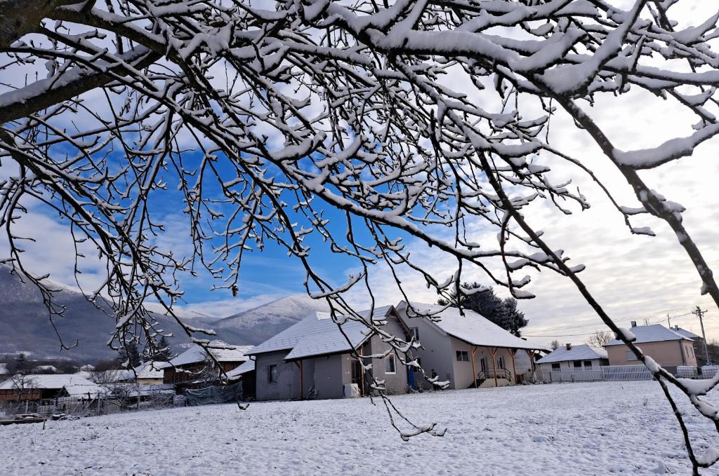 Apartmani Petrović SEMČE Suva Planina v zimě