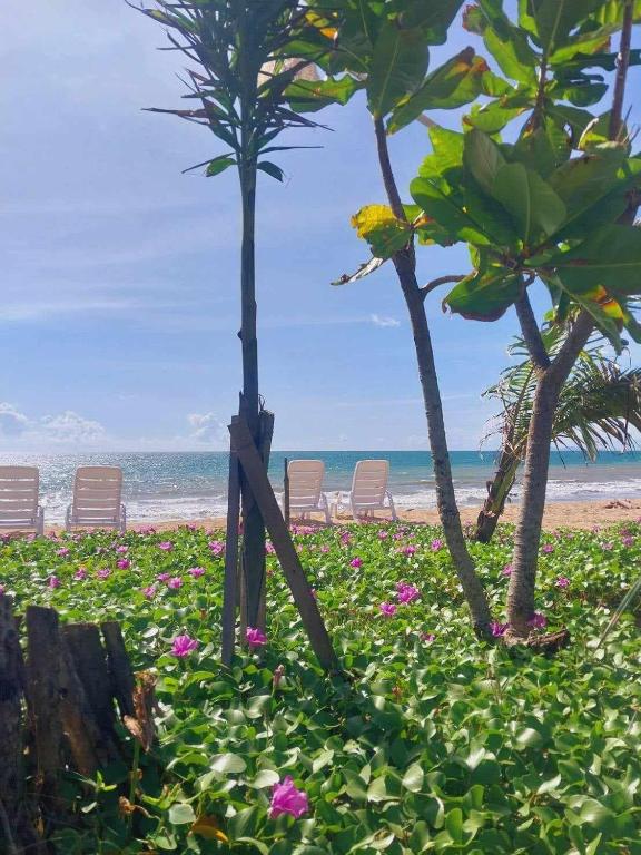 Walden Koh Lanta - Tiny Homes by the Sea - 15