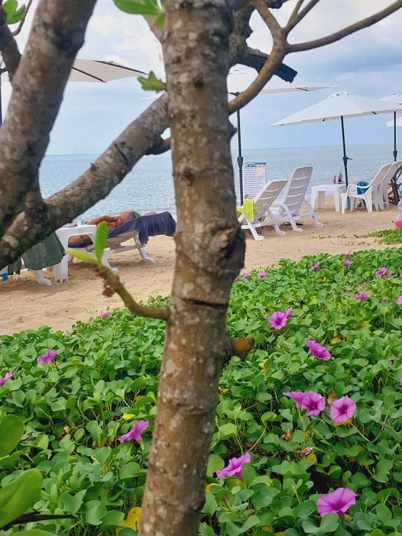 Walden Koh Lanta - Tiny Homes by the Sea - 14